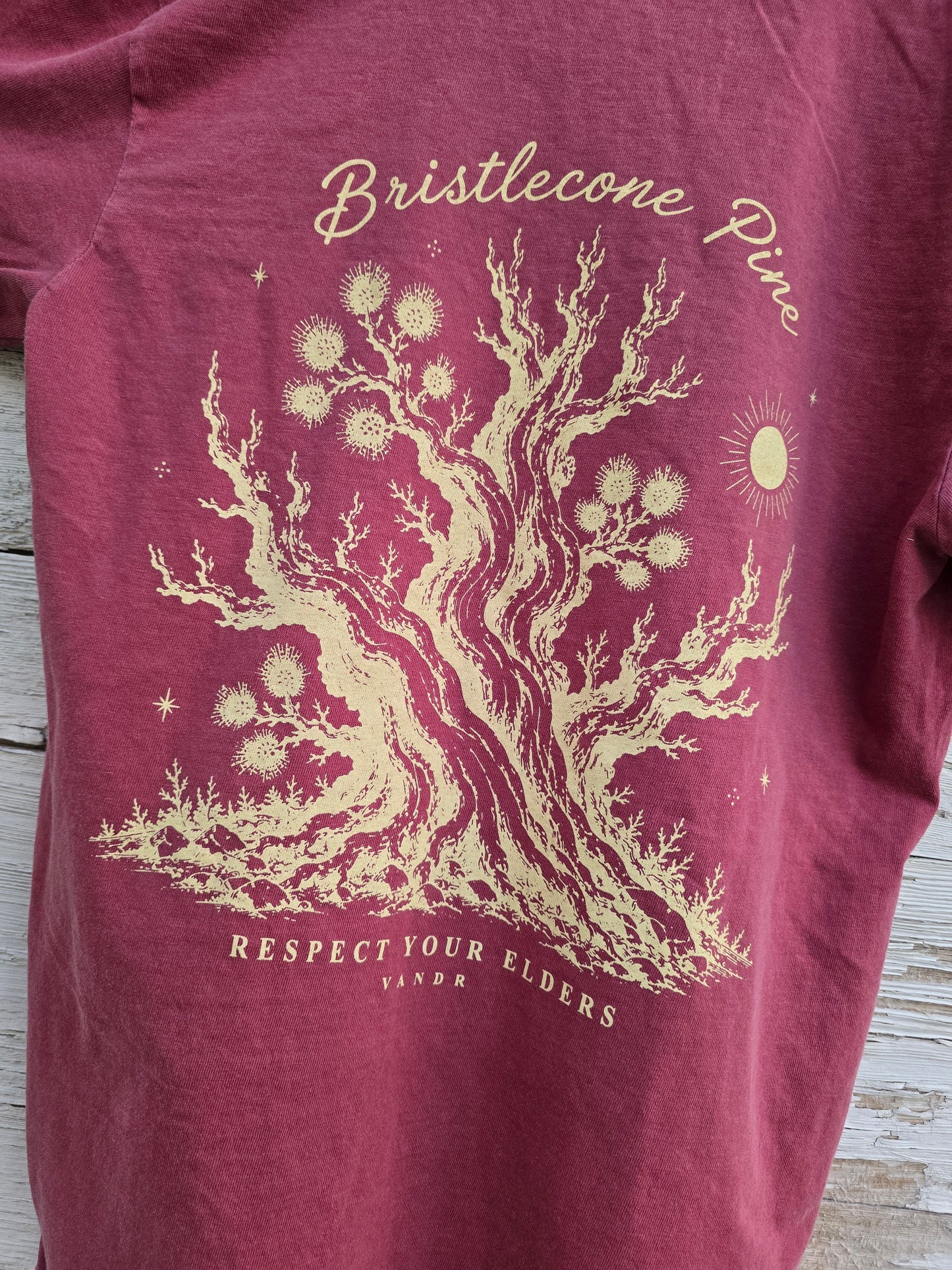 Bristlecone Pine