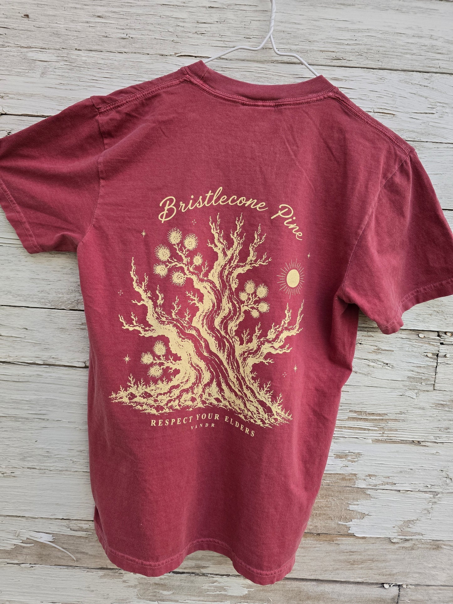 Bristlecone Pine